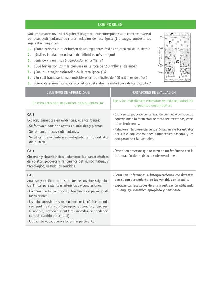 Evaluación Programas - CN1M OA01 - U1 - LOS FÓSILES