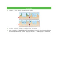 Evaluación Programas - CN1M OA02 - U1 - EVOLUCIÓN