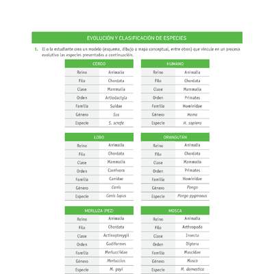 Evaluación Programas - CN1M OA03 - U1 - EVOLUCIÓN Y CLASIFICACIÓN DE ESPECIES