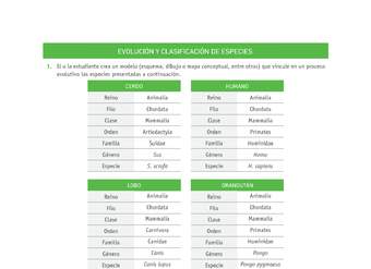 Evaluación Programas - CN1M OA03 - U1 - EVOLUCIÓN Y CLASIFICACIÓN DE ESPECIES