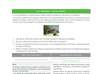 Evaluación Programas - CN1M OA04 - U2 - LAS HORMIGAS Y LOS PULGONES