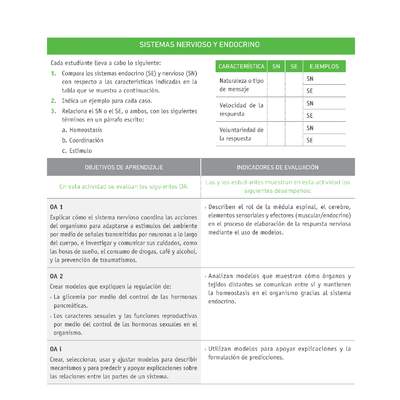 Evaluación Programas - CN2M - OA01 - OA02 - U1 - SISTEMAS NERVIOSO Y ENDOCRINO Evaluación Programas - CN2M - OA01 - OA02 - U1 - SISTEMAS NERVIOSO Y ENDOCRINO