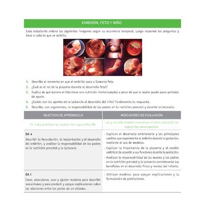 Evaluación Programas - CN2M - OA04 - U2 - EMBRIÓN, FETO Y NIÑO