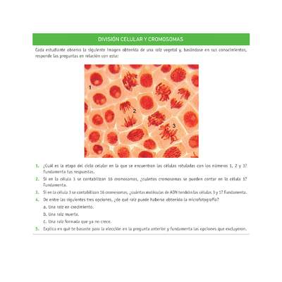 Evaluación Programas - CN2M - OA06 - U3 - DIVISIÓN CELULAR Y CROMOSOMAS