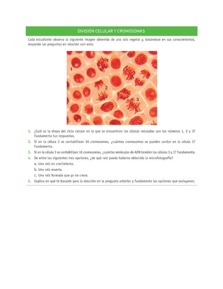 Evaluación Programas - CN2M - OA06 - U3 - DIVISIÓN CELULAR Y CROMOSOMAS