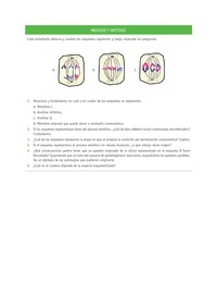 Evaluación Programas - CN2M - OA06 - U3 - MEIOSIS Y MITOSIS