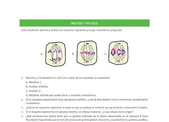 Evaluación Programas - CN2M - OA06 - U3 - MEIOSIS Y MITOSIS