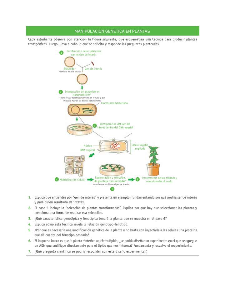 Evaluación Programas - CN2M - OA08 - U4 - MANIPULACIÓN GENÉTICA EN PLANTAS