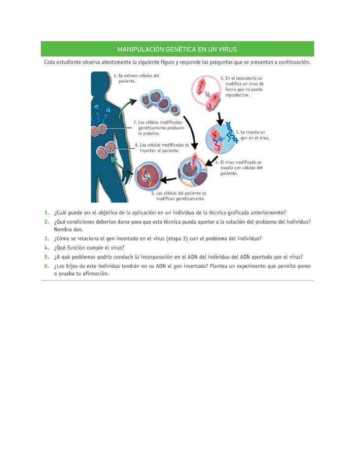 Evaluación Programas - CN2M - OA08 - U4 - MANIPULACIÓN GENÉTICA EN UN VIRUS