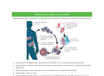 Evaluación Programas - CN2M - OA08 - U4 - MANIPULACIÓN GENÉTICA EN UN VIRUS