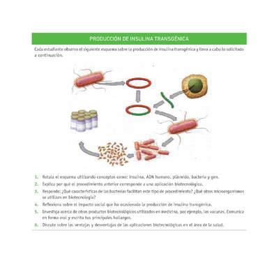 Evaluación Programas - CN2M - OA08 - U4 - PRODUCCIÓN DE INSULINA TRANSGÉNICA