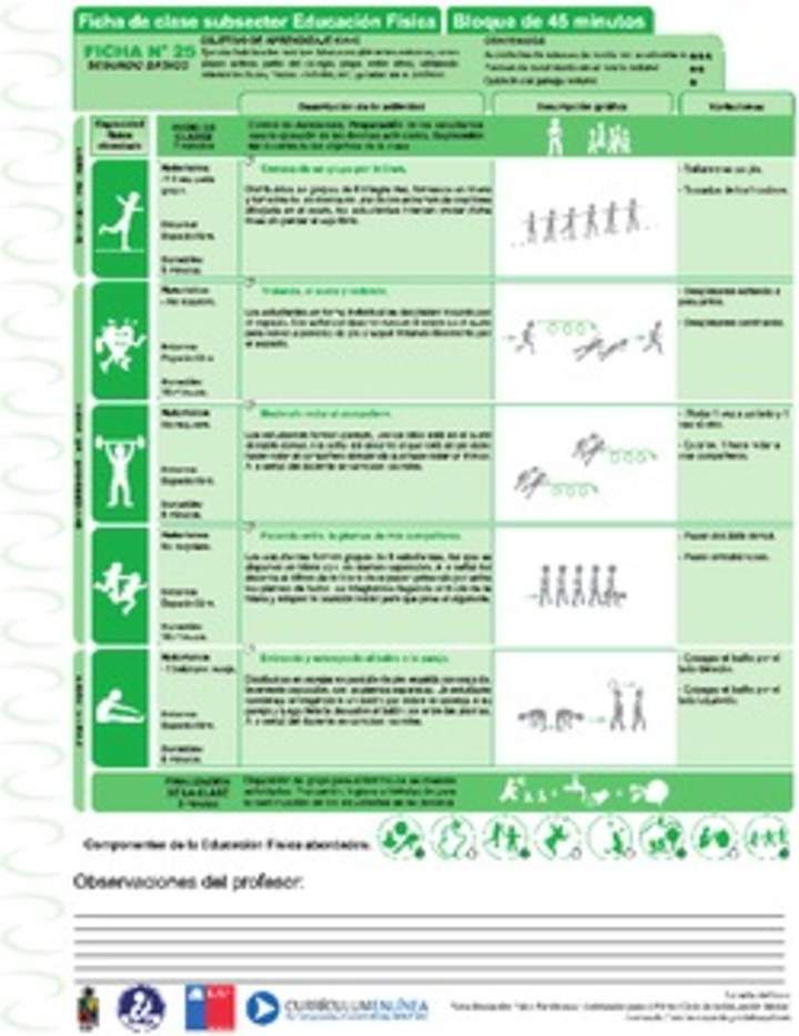 Ejercicio en entorno natural Ficha N° 25