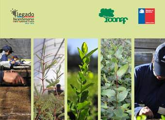 CONAF. (2014). Manual de protocolos de producción de especies utilizadas por el programa de arborización.