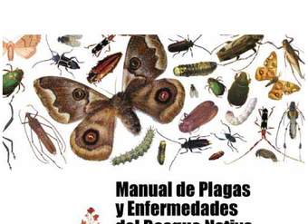 FAO (2008). Manual de plagas y enfermedades del bosque nativo en Chile