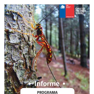 SAG (2018). Informe Programa control biológico de Sirex noctilio F. (Hymenoptera: Siricidae)