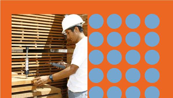 CITE Madera (2009). Control de calidad en la producción de muebles y carpintería en madera