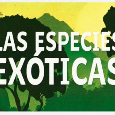 Cápsula especies exóticas invasoras