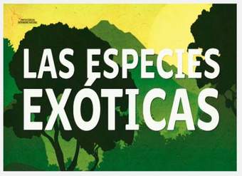 Cápsula especies exóticas invasoras
