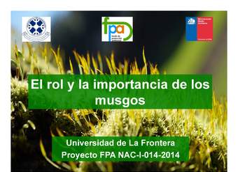 Presentación rol e Importancia musgos