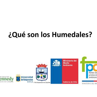 Presentación ¿Qué son los humedales?