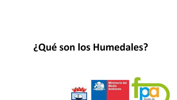 Presentación ¿Qué son los humedales?