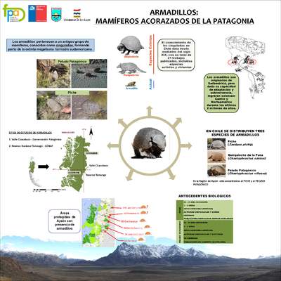 Afiche armadillos de la Patagonia