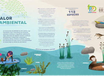 Afiche valor ambiental humedal Quilo