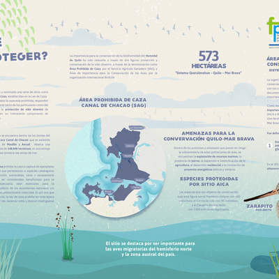 Afiche conservación aves Quetalmahue – Quilo – Mar Brava