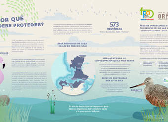Afiche conservación aves Quetalmahue – Quilo – Mar Brava