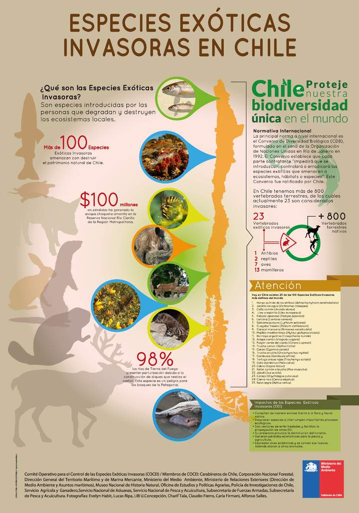 Afiche Especies Exóticas Invasoras en Chile 2