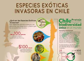 Afiche Especies Exóticas Invasoras en Chile 2