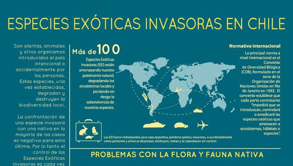 Afiche Especies Exóticas Invasoras en Chile 1