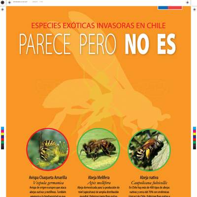 Afiche especies exóticas invasoras: Parece pero no es