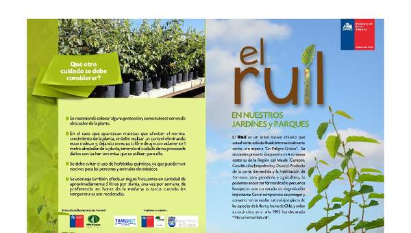 Díptico el ruil en jardines y parques