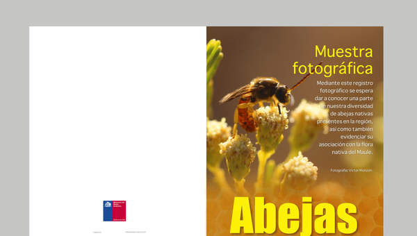 Díptico abejas nativas Maule