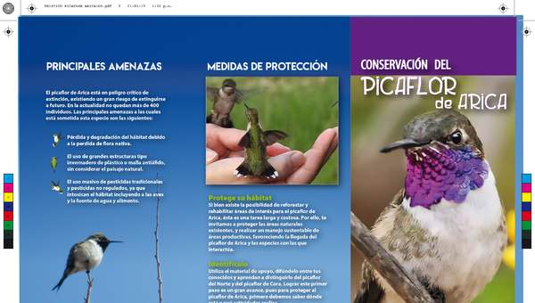 Tríptico Conservación del Picaflor de Arica