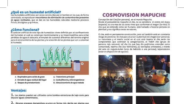 Díptico humedales artificiales