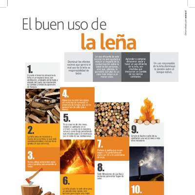 Infografía buen uso de la leña 2