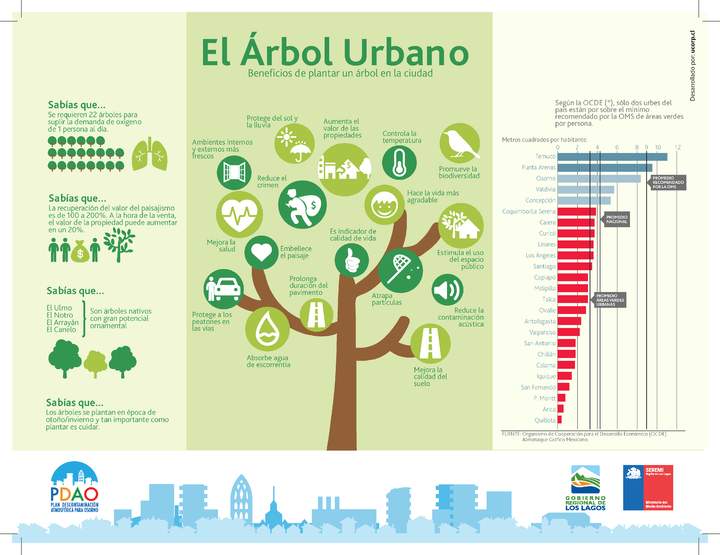 Infografía el árbol urbano