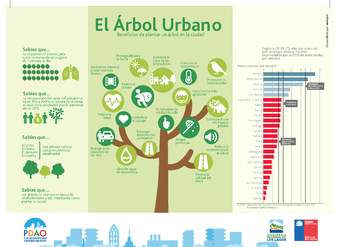 Infografía el árbol urbano