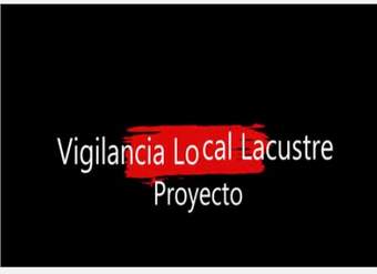 Video vigilancia local lacustre Villarrica