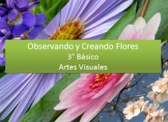 Observando y Creando Flores