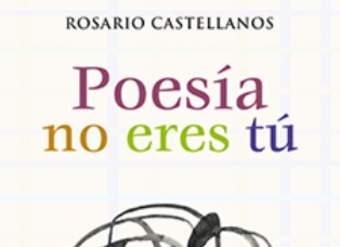 Poesía no eres tú