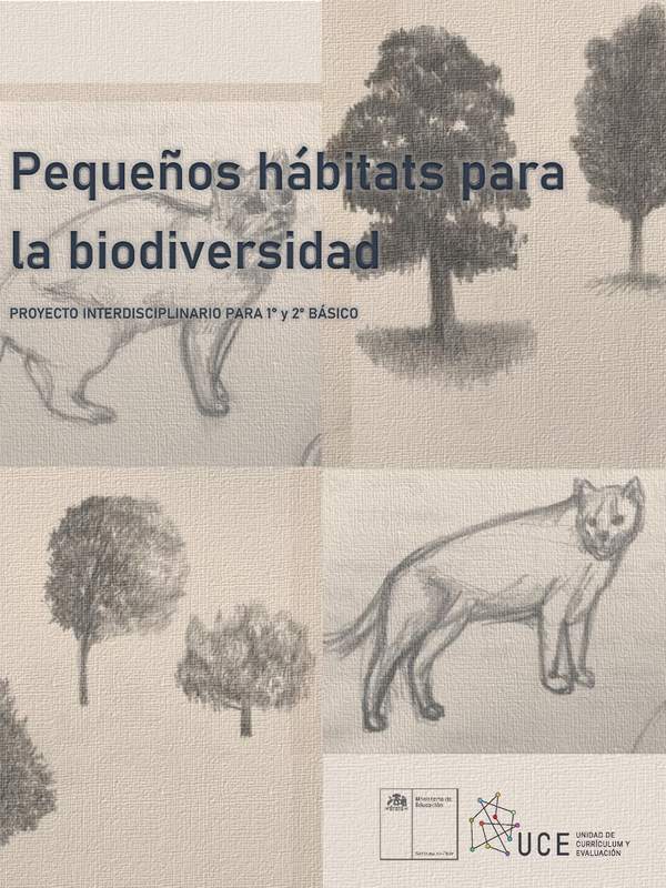 Proyecto Interdisciplinario: Pequeños hábitats para la biodiversidad