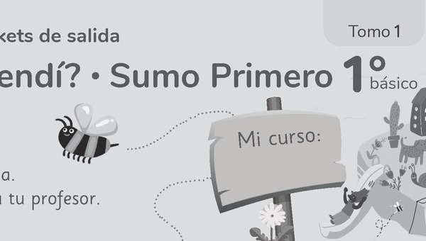 Sumo Primero 1° Básico, Tickets de Salida Tomo 1