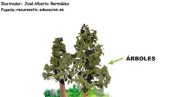 Estructura de suelo rotulado