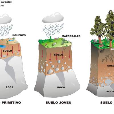 Formación de suelo rotulado