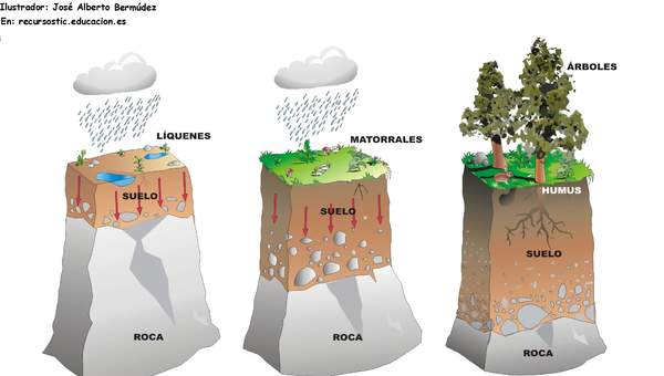 Formación de suelo rotulado