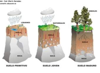 Formación de suelo rotulado