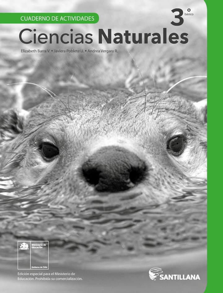 Cuaderno de Actividades Ciencias Naturales 3 Basico Resuelto